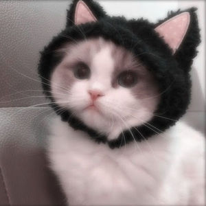 Meet your Posher, Ali